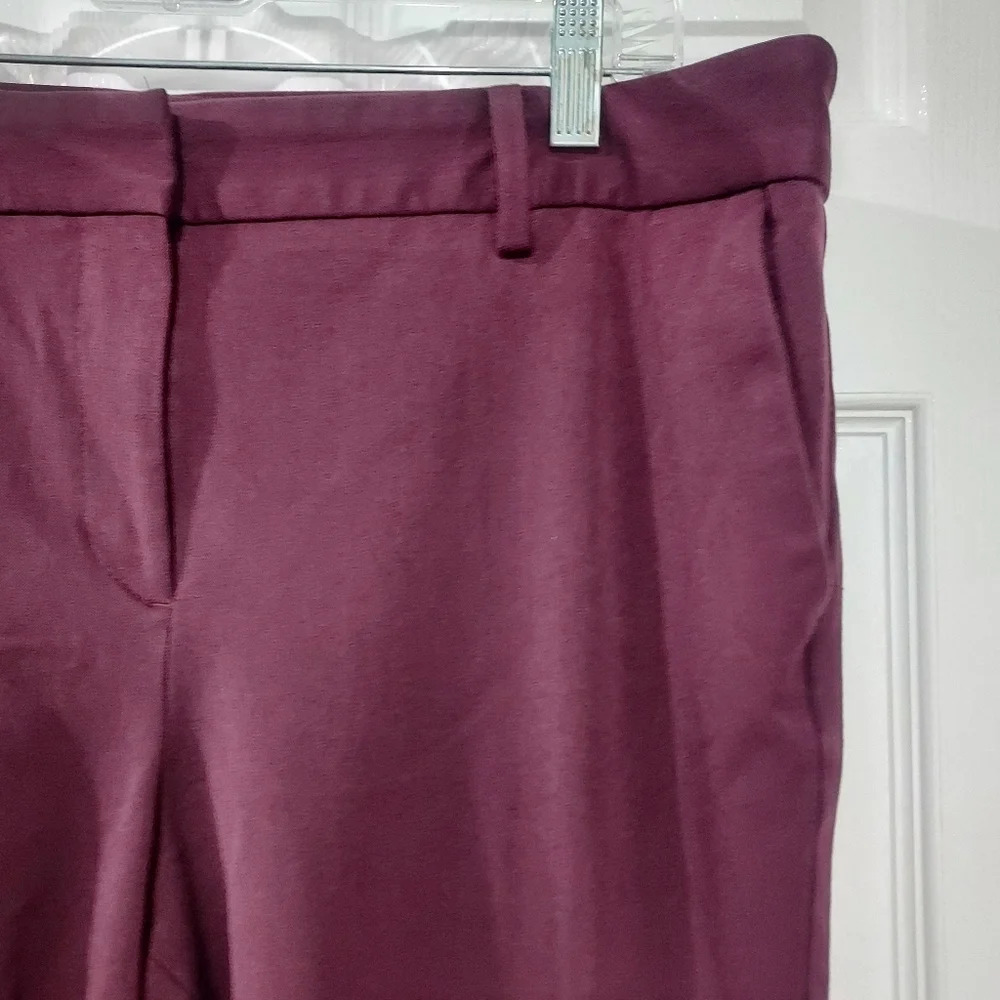 Talbots Merlot Barely Boot Pants In Size 14 P - P… - image 3
